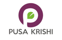 Pusa Krishi